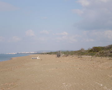 Rimigliano towards San Vincenzo